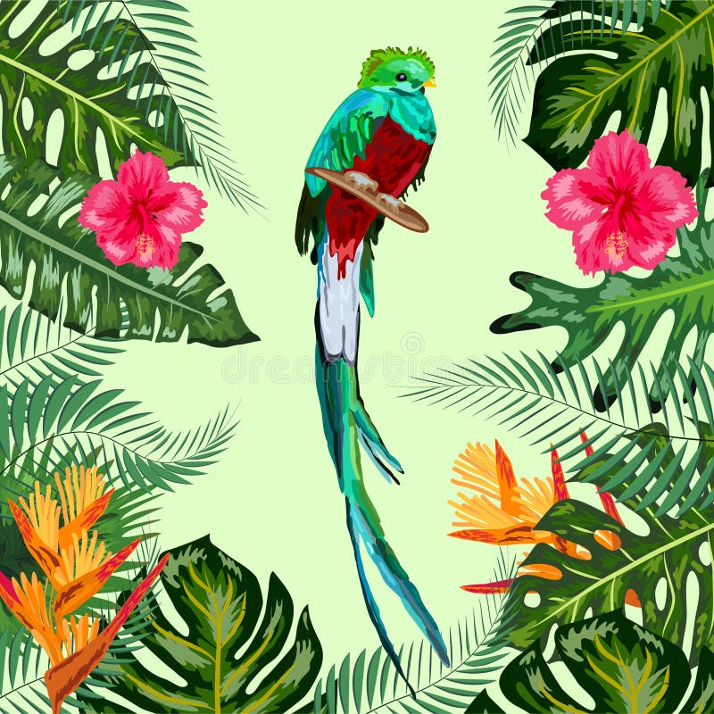 Watercolor green quetzal bird with a long tail with splashes. Symbol of freedom. Watercolor green quetzal bird with a long tail with splashes. Symbol of freedom