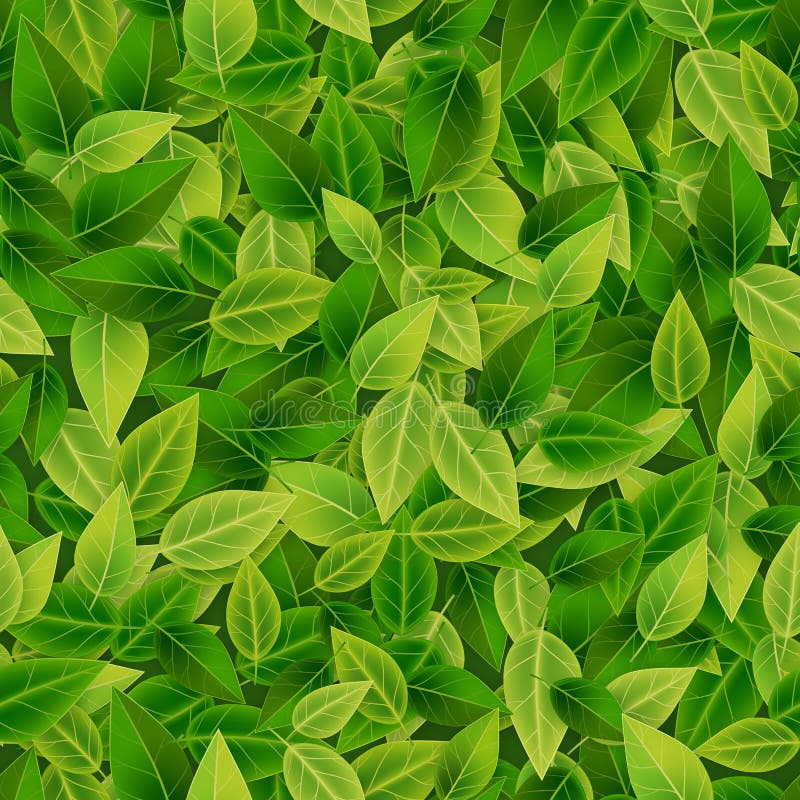 Πράσινο υπόβαθρο φύλλων, eco, οργανικό, άνευ ραφής σχέδιο ελεύθερη απεικόνιση δικαιώματος