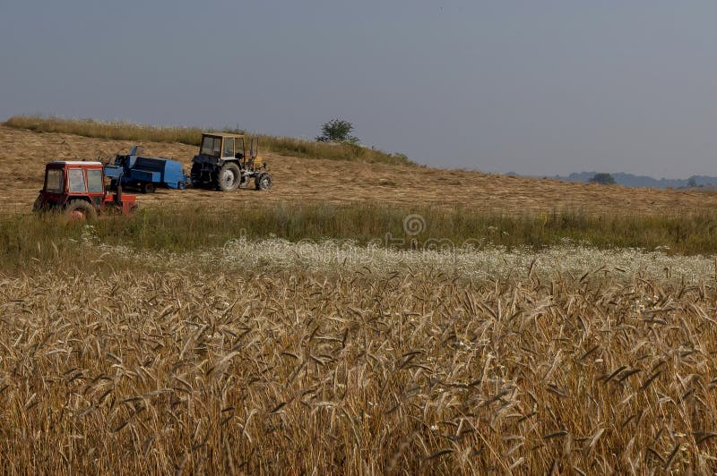 Προετοιμασία για το πακέτο στα δέματα του σανού στο meandow, βουνό Plana στοκ φωτογραφία με δικαίωμα ελεύθερης χρήσης Προετοιμασία για το πακέτο στα δέματα του σανού στο meandow, βουνό Plana στοκ φωτογραφία με δικαίωμα ελεύθερης χρήσης
