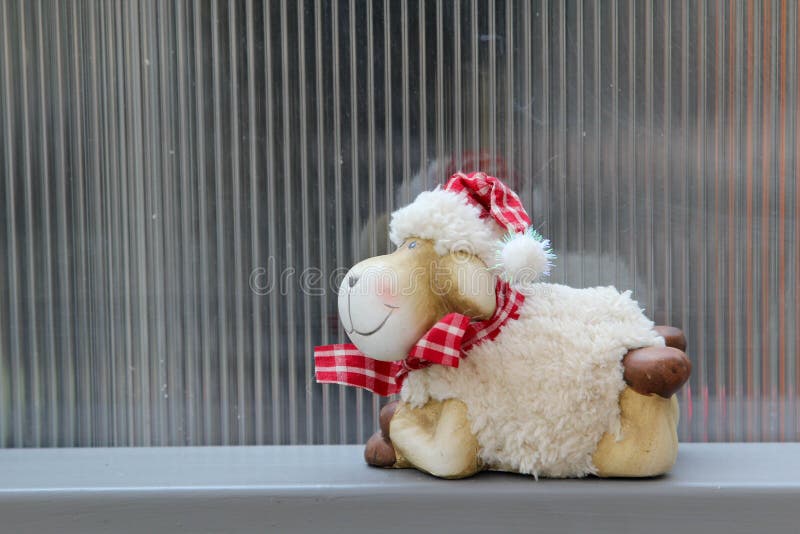 Πρόβατα Teddy και διαφανές ζαρωμένο υπόβαθρο στοκ εικόνα