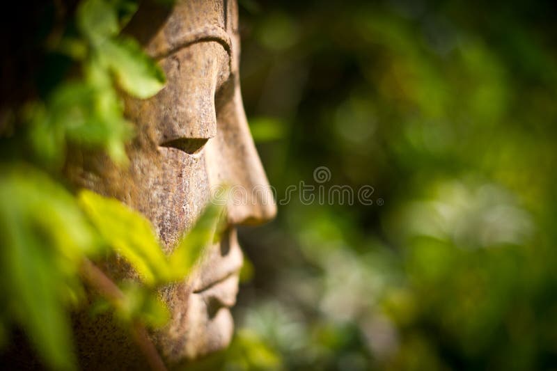 A side profile of a buddha face in a sunlit garden. A side profile of a buddha face in a sunlit garden