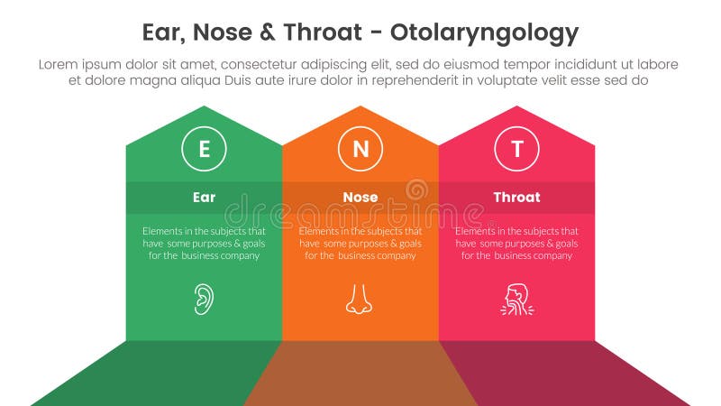 ent health treatment disease infographic 3 point stage template with big shape arrow header top direction for slide presentation vector. ent health treatment disease infographic 3 point stage template with big shape arrow header top direction for slide presentation vector