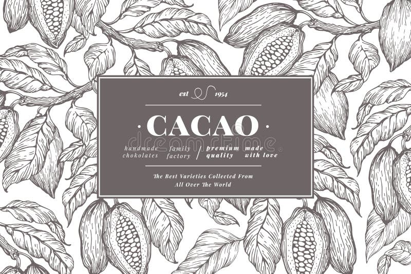 Cocoa bean tree banner template. Chocolate cocoa beans background. Vector hand drawn illustration. Retro style illustration. Cocoa bean tree banner template. Chocolate cocoa beans background. Vector hand drawn illustration. Retro style illustration.