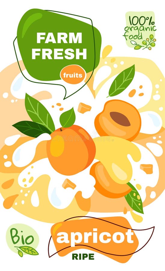 Food label template. vector illustration for organic apricot milkshake fruit drink. natural bio fruits package design. ripe apricot fruits with abstract splash background. eco concept farm fresh label. Food label template. vector illustration for organic apricot milkshake fruit drink. natural bio fruits package design. ripe apricot fruits with abstract splash background. eco concept farm fresh label