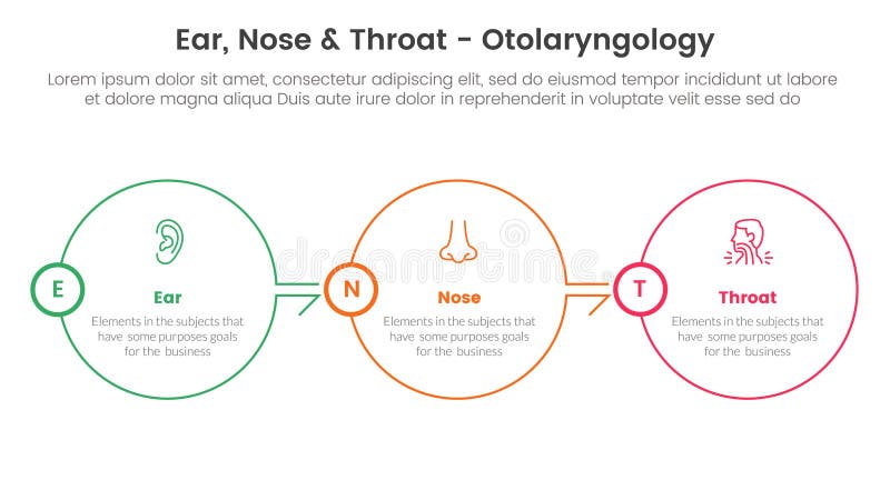 ent health treatment disease infographic 3 point stage template with big circle outline right direction on horizontal balance for slide presentation vector. ent health treatment disease infographic 3 point stage template with big circle outline right direction on horizontal balance for slide presentation vector