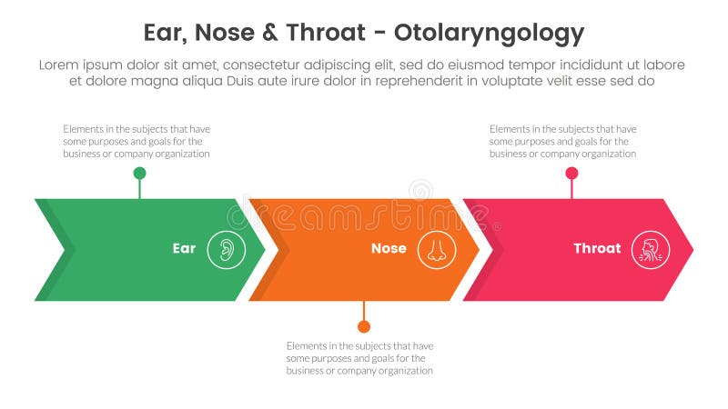 ent health treatment disease infographic 3 point stage template with arrow right direction horizontal line for slide presentation vector. ent health treatment disease infographic 3 point stage template with arrow right direction horizontal line for slide presentation vector