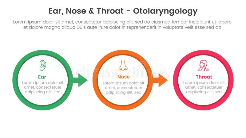 ent health treatment disease infographic 3 point stage template with big outline circle arrow right direction for slide presentation vector. ent health treatment disease infographic 3 point stage template with big outline circle arrow right direction for slide presentation vector