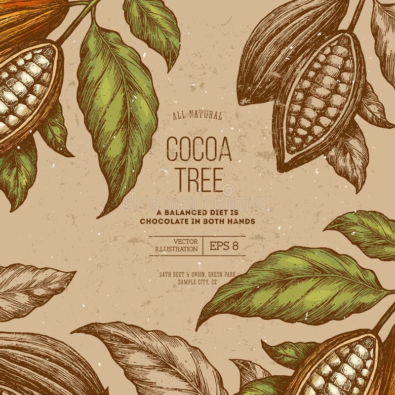 Vector illustration. Cocoa bean tree frame design template. Engraved style illustration. Chocolate cocoa beans. Vector illustration. Cocoa bean tree frame design template. Engraved style illustration. Chocolate cocoa beans.