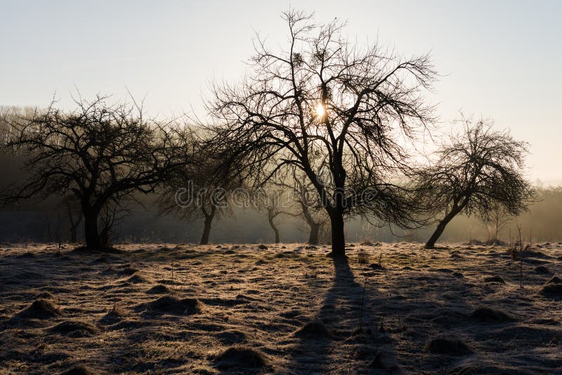 Early morning rural landscape in spring, Ukraine. Early morning rural landscape in spring, Ukraine