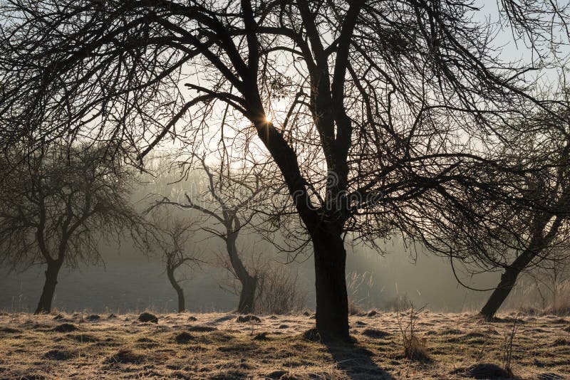 Early morning rural landscape in spring, Ukraine. Early morning rural landscape in spring, Ukraine