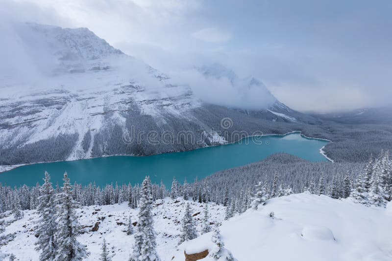 πρώτο χιόνι πρωί στο εθνικό πάρκο banff alberta καναδάς χιόνι κάλυψε το χειμερινό τοπίο σε χειμωνιάτικη ατμόσφαιρα. όμορφη φύση στοκ εικόνες