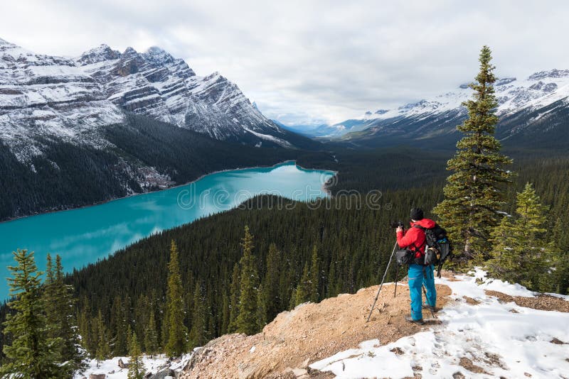 πρώτο χιόνι πρωί στο εθνικό πάρκο banff alberta καναδάς χιόνι κάλυψε το χειμερινό τοπίο σε χειμωνιάτικη ατμόσφαιρα. όμορφη φύση στοκ εικόνα με δικαίωμα ελεύθερης χρήσης