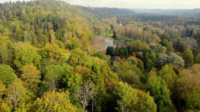 πτήση πάνω από πολύχρωμες φθινοπωρινές δασικές λεκάνες την ηλιόλουστη ημέρα. λετονία