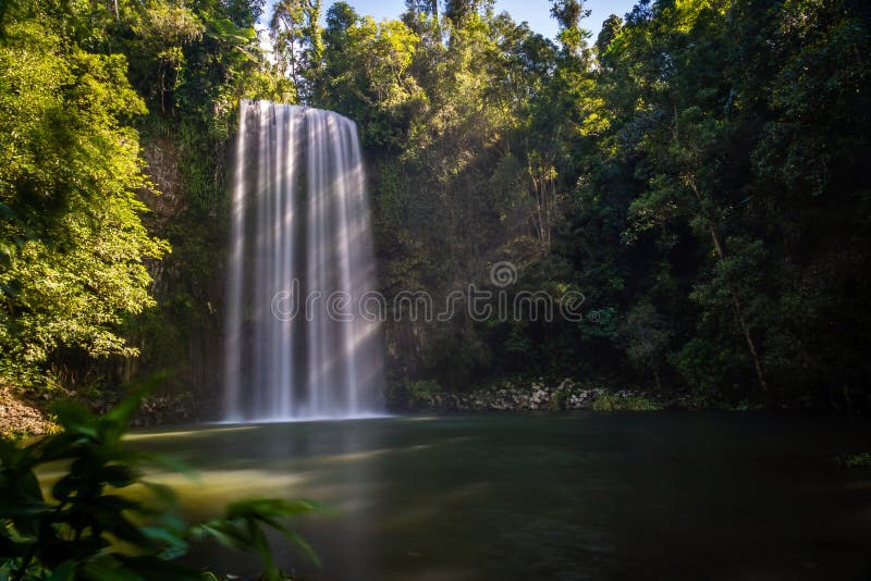 Πτώσεις Milla Millaa το καλοκαίρι στο Queensland, Αυστραλία, μακροχρόνια έκθεση στοκ εικόνες Πτώσεις Milla Millaa το καλοκαίρι στο Queensland, Αυστραλία, μακροχρόνια έκθεση στοκ εικόνες