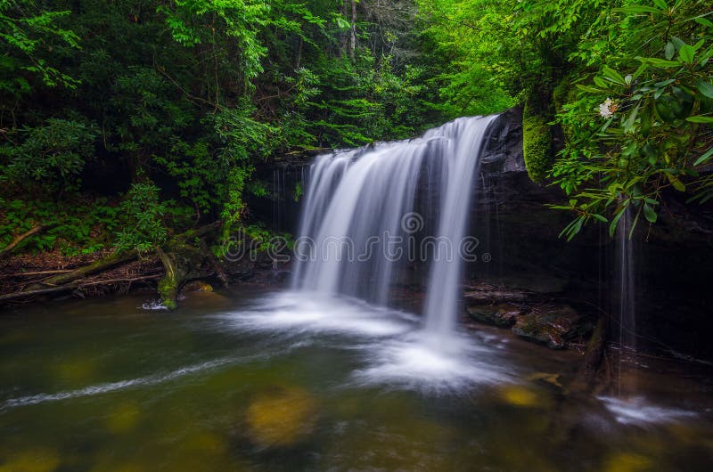 This summer scene was taken in the Martins Fork Wildlife Management Area in Southeastern Kentucky. It is bordered by the Cumberland Gap National Park. Quadrule falls was named after the Quadrule Indian tribe that once lived in the area. They were a splinter tribe of the Cherokee Indians. The falls are located on the Martins Fork River which is the upper watershed of the mighty Cumberland River. This river is one of Kentucky's eight designated and protected wild rivers. This remote gorge is absolutely beautiful. The river runs clear even after a big rain. There are many known summer swimming holes along its course including the pool below these falls. One lonely Mountain Laurel can be seen hanging near the falls. This summer scene was taken in the Martins Fork Wildlife Management Area in Southeastern Kentucky. It is bordered by the Cumberland Gap National Park. Quadrule falls was named after the Quadrule Indian tribe that once lived in the area. They were a splinter tribe of the Cherokee Indians. The falls are located on the Martins Fork River which is the upper watershed of the mighty Cumberland River. This river is one of Kentucky's eight designated and protected wild rivers. This remote gorge is absolutely beautiful. The river runs clear even after a big rain. There are many known summer swimming holes along its course including the pool below these falls. One lonely Mountain Laurel can be seen hanging near the falls.