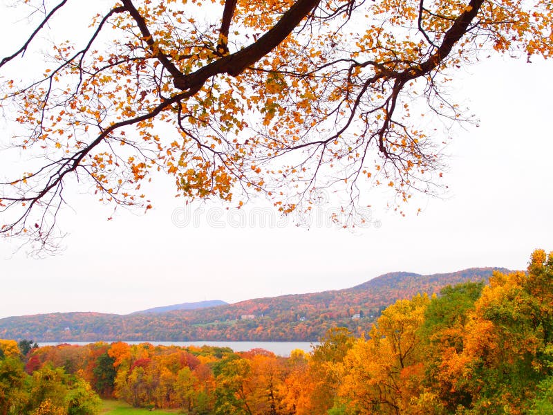 Fall with color leaves next to Water. Fall with color leaves next to Water