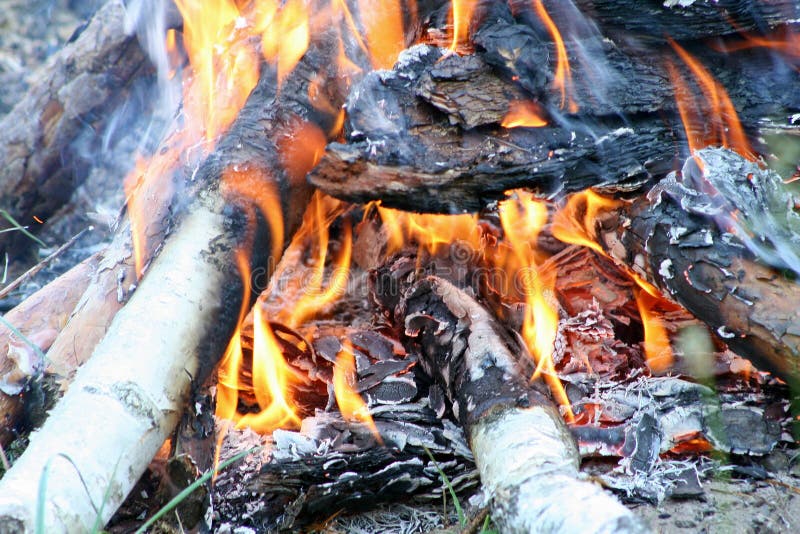 Πυρά προσκόπων, καίγοντας καυσόξυλο, ημέρα, πράσινος χορτοτάπητας στοκ φωτογραφία με δικαίωμα ελεύθερης χρήσης