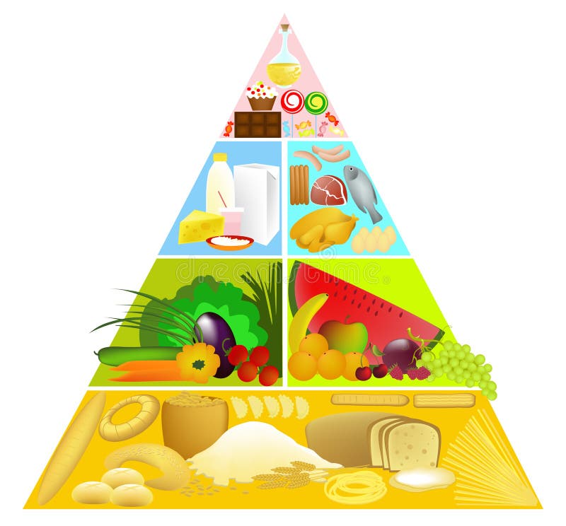 Food pyramid, vector illustartion on the withe background. Food pyramid, vector illustartion on the withe background.