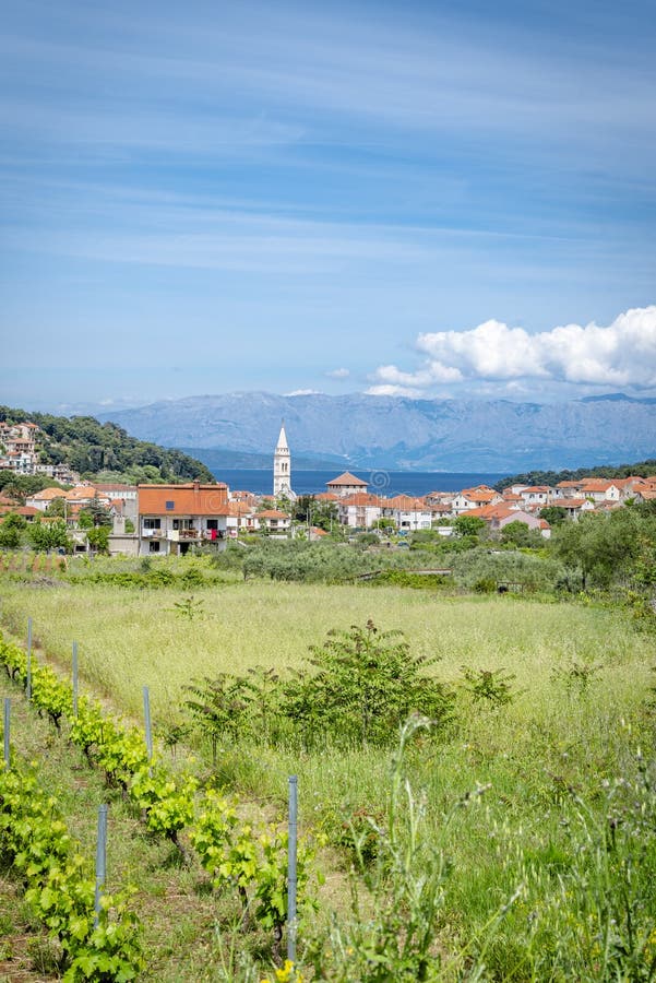 Πόλη Jelsa, νησί Hvar, Κροατία στοκ εικόνα με δικαίωμα ελεύθερης χρήσης