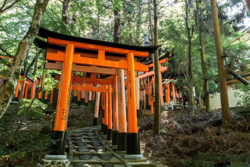 Πύλες Torii στη λάρνακα Fushimi Inari στο Κιότο, Ιαπωνία στοκ φωτογραφία με δικαίωμα ελεύθερης χρήσης Πύλες Torii στη λάρνακα Fushimi Inari στο Κιότο, Ιαπωνία στοκ φωτογραφία με δικαίωμα ελεύθερης χρήσης