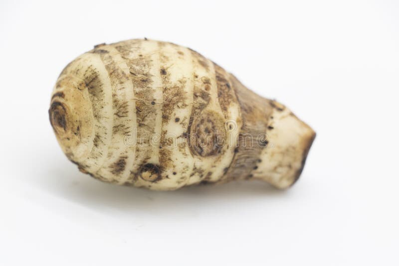 Taro root also known as Arbi on white background. Taro root also known as Arbi on white background.