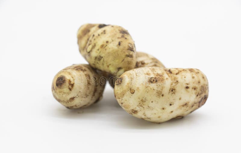 Taro or taro root also known as Arbi on white background,, its have full on calcium and iron. Taro or taro root also known as Arbi on white background,, its have full on calcium and iron.