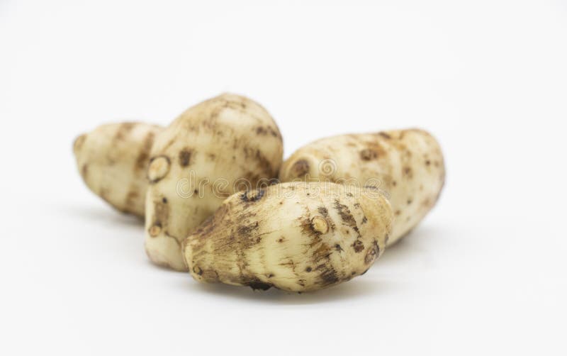 fresh taro root or Arbi on white background, it's have full on calcium and iron. fresh taro root or Arbi on white background, it's have full on calcium and iron.