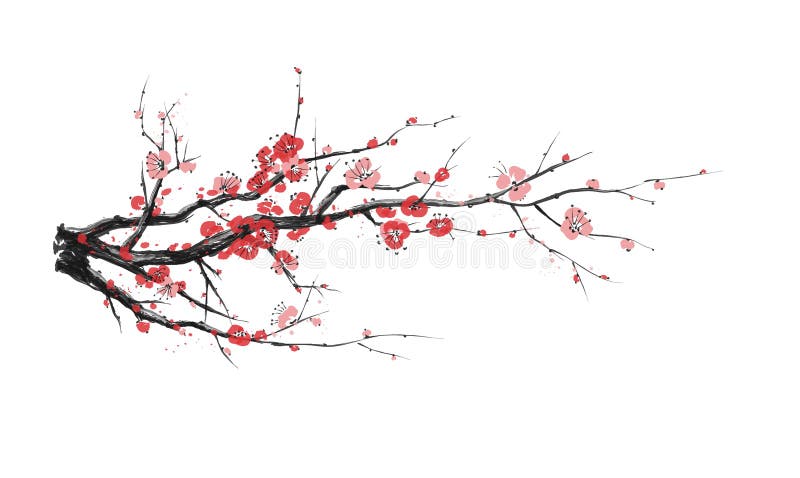 Ρεαλιστικό άνθος sakura - η γιαπωνέζικη κερασιά απομονώθηκε σε λευκό φόντο Άνθος καλλιτεχνικού κλάδου σακούρα Διάνυσμα στοκ εικόνα με δικαίωμα ελεύθερης χρήσης