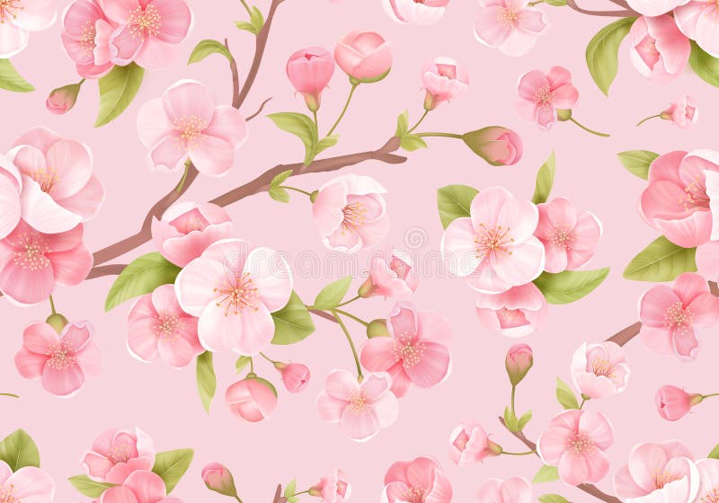 ρεαλιστικό ροζ άνθος sakura ομαλό φόντο. ιαπωνική ανθεκτική εξωτική υφή κεράσι. λουλούδια στοκ εικόνες με δικαίωμα ελεύθερης χρήσης