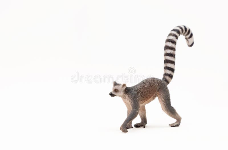Realistic figure of lemur isolated on a white background. A small animal toy for children. Selective focus. Copy space. Realistic figure of lemur isolated on a white background. A small animal toy for children. Selective focus. Copy space