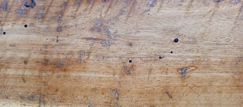Ριζική επιφάνεια από ξύλο με υφή και λεπτομέρειες οπής εντόμων στοκ εικόνες