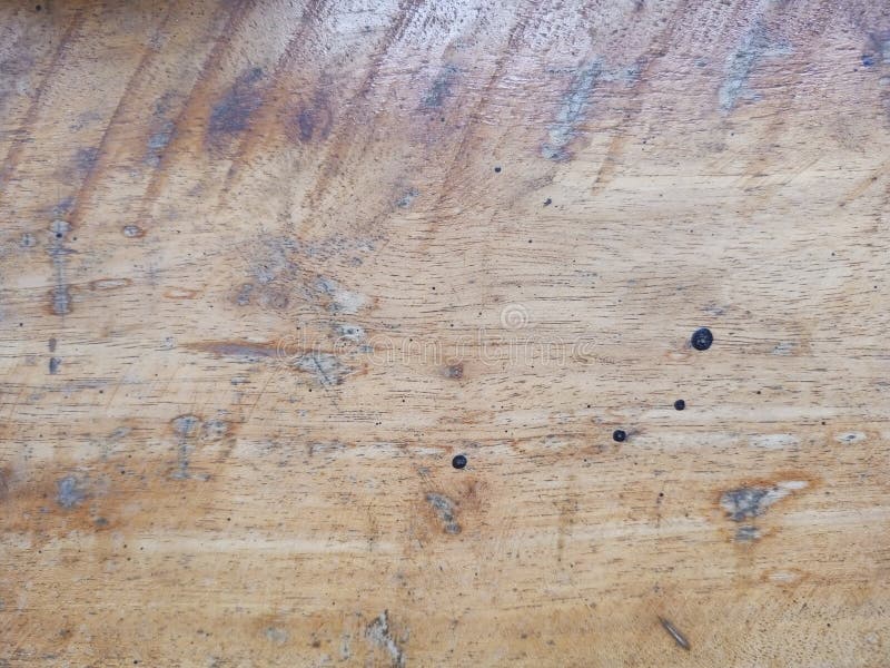 Ριζική επιφάνεια από ξύλο με υφή και λεπτομέρειες οπής εντόμων στοκ εικόνες