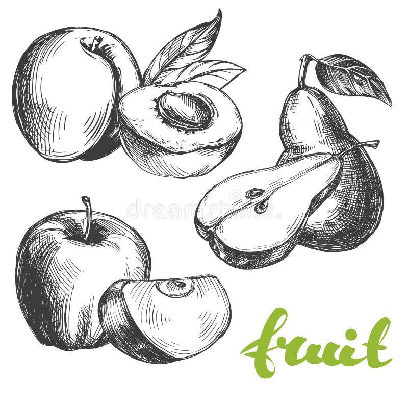 Fruit peach, apple, pear set hand drawn vector illustration realistic sketch. Fruit peach, apple, pear set hand drawn vector illustration realistic sketch