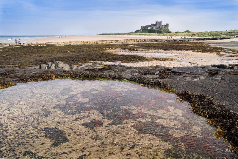 Ροκ πισίνα με παραλία και κάστρο του Bamburgh στο παρασκήνιο στοκ εικόνες με δικαίωμα ελεύθερης χρήσης Ροκ πισίνα με παραλία και κάστρο του Bamburgh στο παρασκήνιο στοκ εικόνες με δικαίωμα ελεύθερης χρήσης