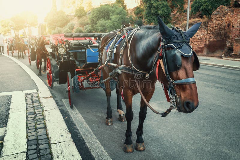 Romantic Carriage with horse near Roman Colosseum or Coliseum in Rome, Italy. Romantic Carriage with horse near Roman Colosseum or Coliseum in Rome, Italy.