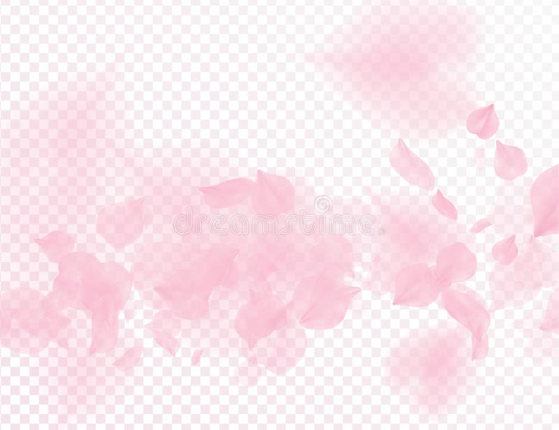 Ρόδινο sakura διανυσματικό διαφανές υπόβαθρο πετάλων λουλουδιών μειωμένο τρισδιάστατη ρομαντική απεικόνιση ημέρας βαλεντίνων Τρυφ απεικόνιση αποθεμάτων