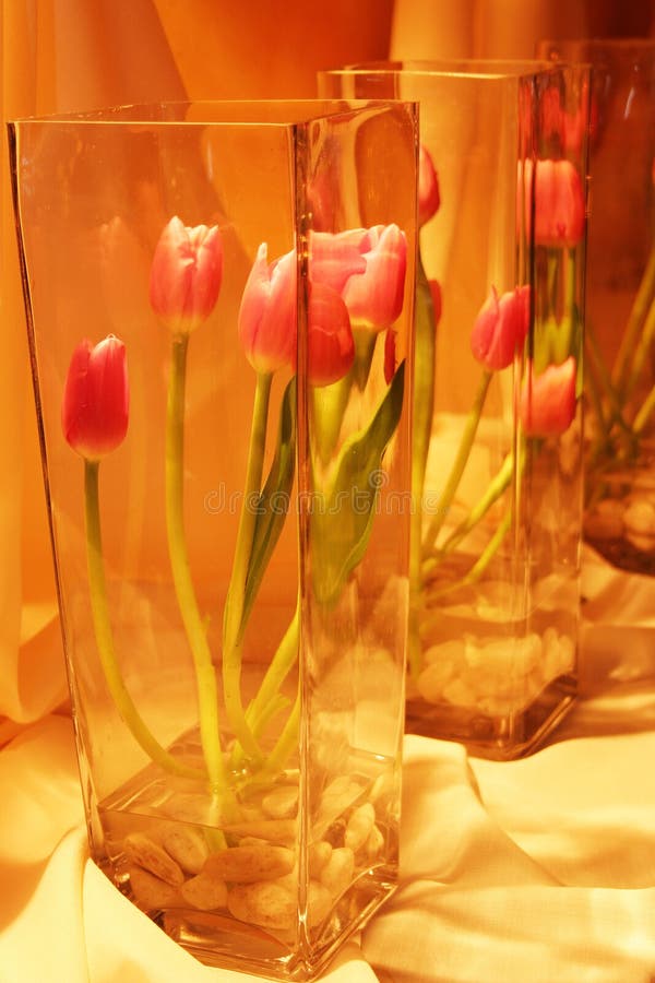 ρόδινο vase τουλιπών γυαλι&omicron στοκ φωτογραφία ρόδινο vase τουλιπών γυαλι&omicron στοκ φωτογραφία