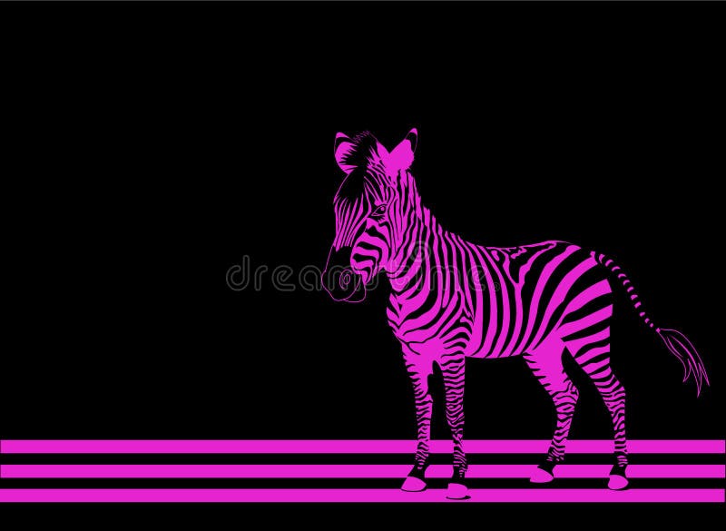 Isolated zebra silhouette texture detail on black background. Isolated zebra silhouette texture detail on black background