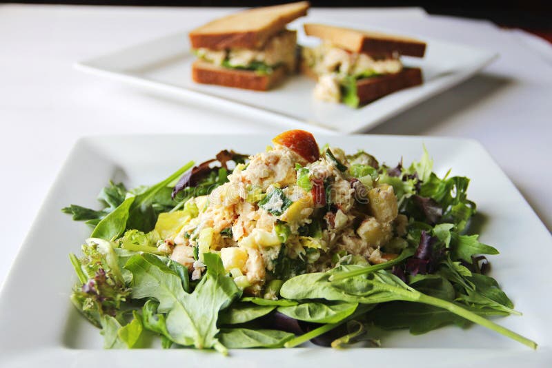 Shot of a healthy apple tuna salad. Shot of a healthy apple tuna salad