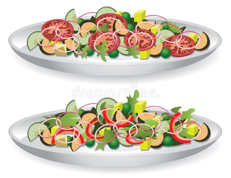 Vector illustration of a delicious salad. Vector illustration of a delicious salad