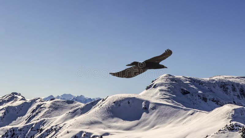 Σε αργή κίνηση του πετώντας αετού, parallax ζωτικότητα