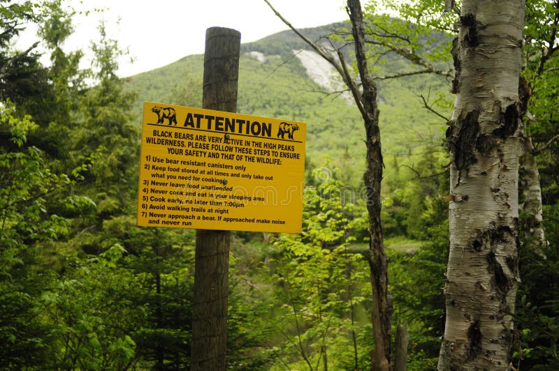 Sign Warning Hikers And Backpacker About Bear Activity In The Area, Marcy Dam, High Peaks Wilderness Area, Adirondack Forest Preserve, New York. Sign Warning Hikers And Backpacker About Bear Activity In The Area, Marcy Dam, High Peaks Wilderness Area, Adirondack Forest Preserve, New York