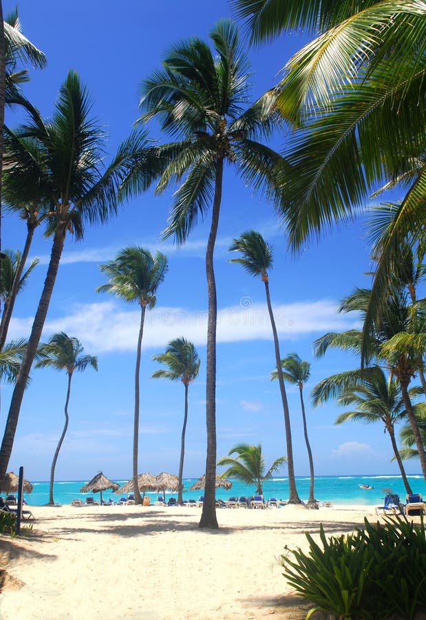 Tropical beach scene in the Dominican Republic. Tropical beach scene in the Dominican Republic