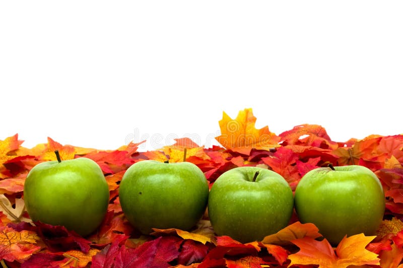 Fall leaves with green apples on white background, fall scene. Fall leaves with green apples on white background, fall scene