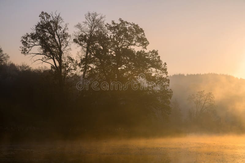 Σκιαγραφίες των δέντρων σε ένα misty ομιχλώδες πρωί στην ακτή λιμνών στοκ εικόνες με δικαίωμα ελεύθερης χρήσης Σκιαγραφίες των δέντρων σε ένα misty ομιχλώδες πρωί στην ακτή λιμνών στοκ εικόνες με δικαίωμα ελεύθερης χρήσης