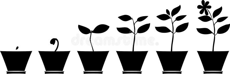 Σκιαγραφίες των εγκαταστάσεων flowerpot διανυσματική απεικόνιση Σκιαγραφίες των εγκαταστάσεων flowerpot διανυσματική απεικόνιση