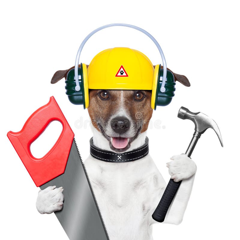 Σκυλί Handyman