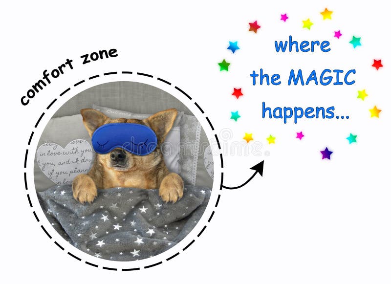 The tired dog with a blue funny sleep mask is in bed under the blanket. Where the magic happens. White background. The tired dog with a blue funny sleep mask is in bed under the blanket. Where the magic happens. White background