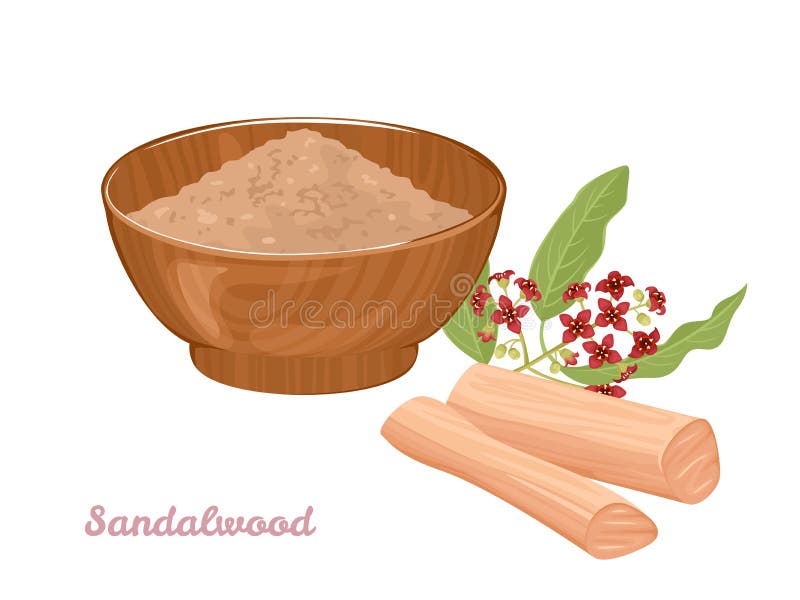 Sandalwood powder in bowl, Chandan sticks and  flowering plant with green leaves isolated on a white background. Vector illustration in cartoon flat style. Sandalwood powder in bowl, Chandan sticks and  flowering plant with green leaves isolated on a white background. Vector illustration in cartoon flat style.