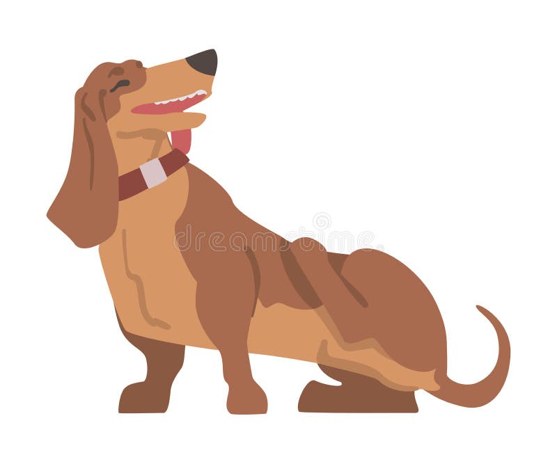 σκύλος dachshund ή badger ως λαγωνικό και μακρόκαρπο κυνηγόσκυλο με κολάρο και διάνυσμα που ξύνει ελεύθερη απεικόνιση δικαιώματος